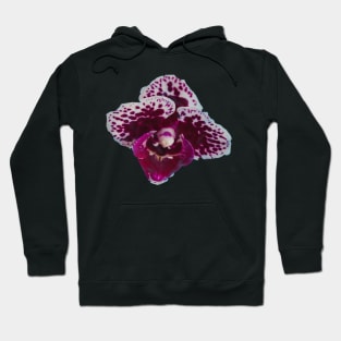 Purple Speckled Orchid Hoodie